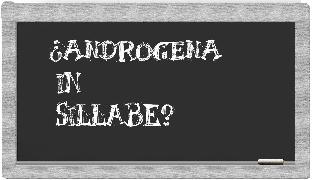 ¿androgena en sílabas?