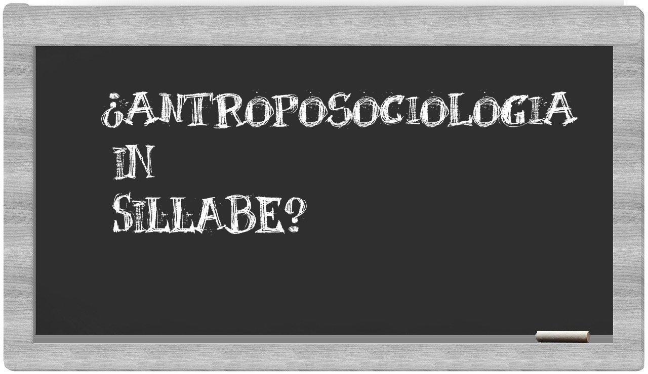 antroposociologia in syllables