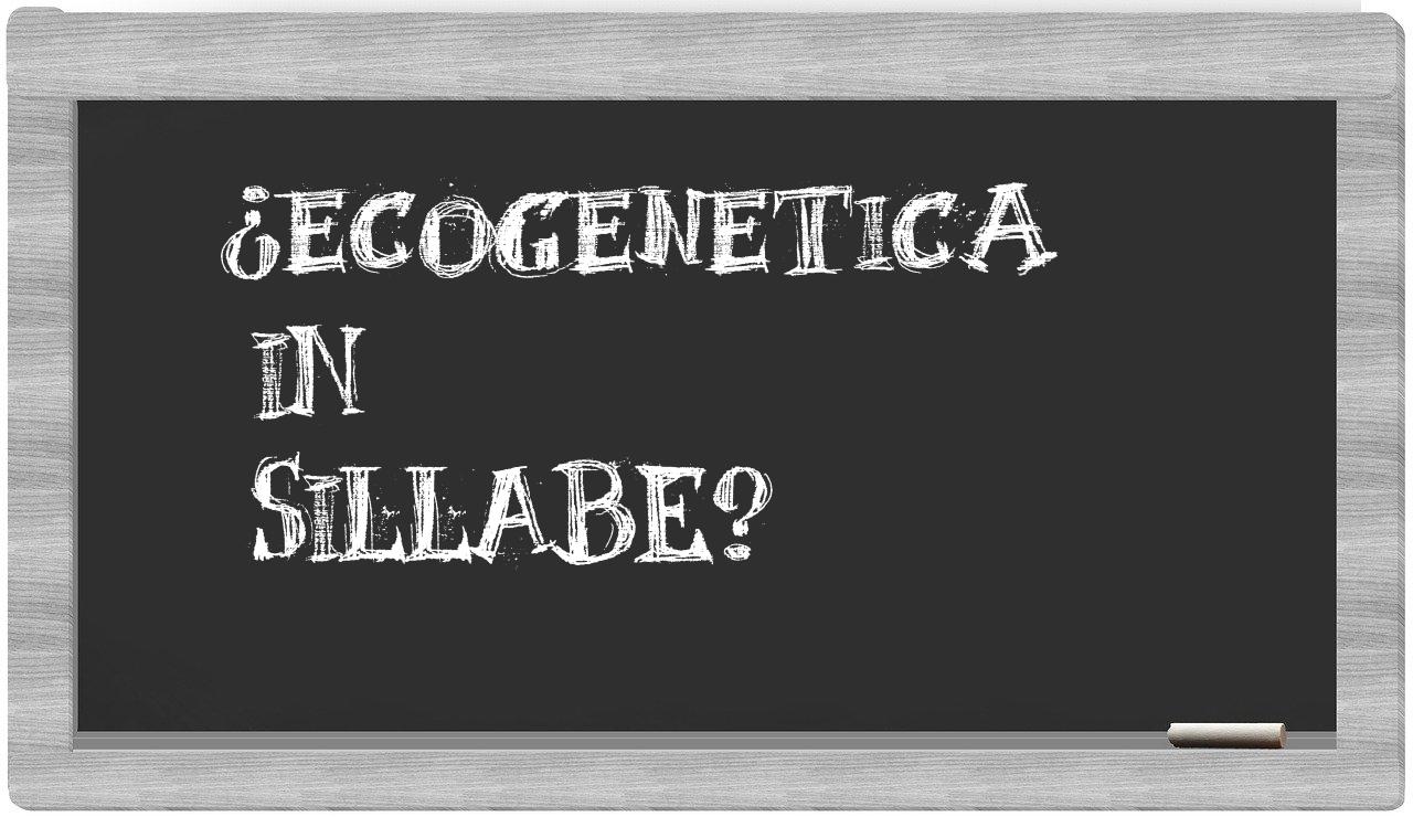 ¿ecogenetica en sílabas?