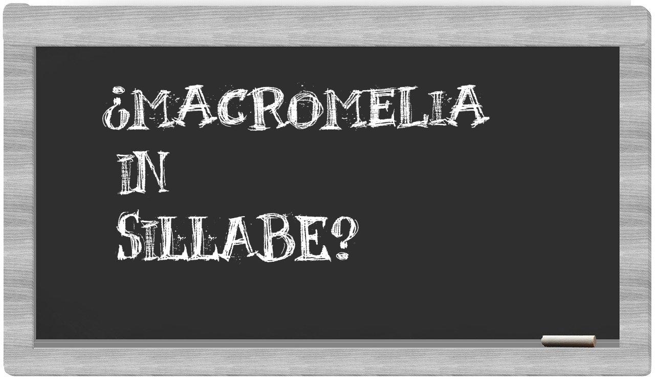 ¿macromelia en sílabas?